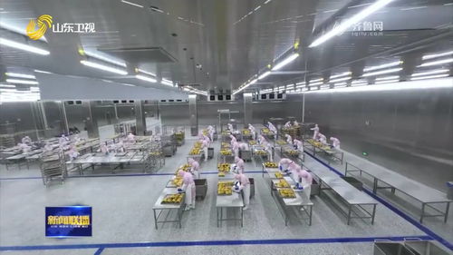 聊城烤鴨 首飛 歐洲 特色農(nóng)產(chǎn)品國(guó)際 朋友圈 不斷擴(kuò)大